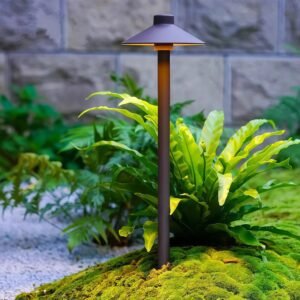 Solar Garden Light (Copy) (Copy)